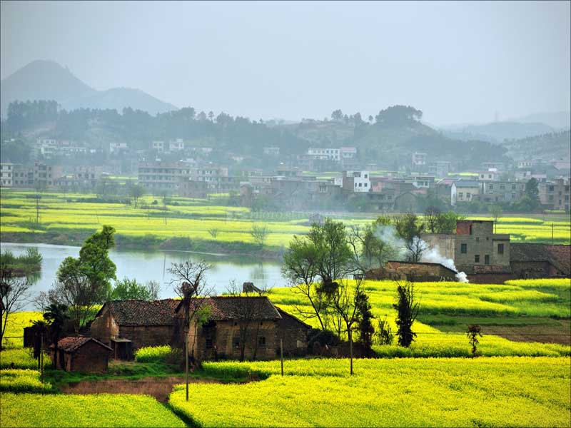 農(nóng)村土地綜合整治項(xiàng)目
