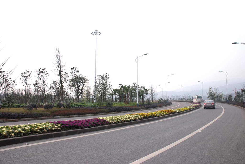 長(zhǎng)沙縣開元路開元路綠化工程